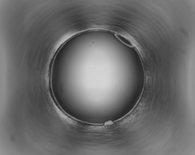 X0000111011143200906191606