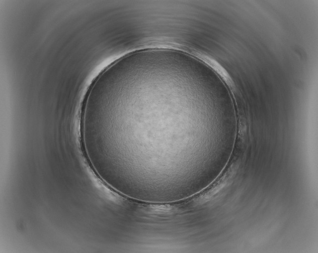X0000111011144200906191606