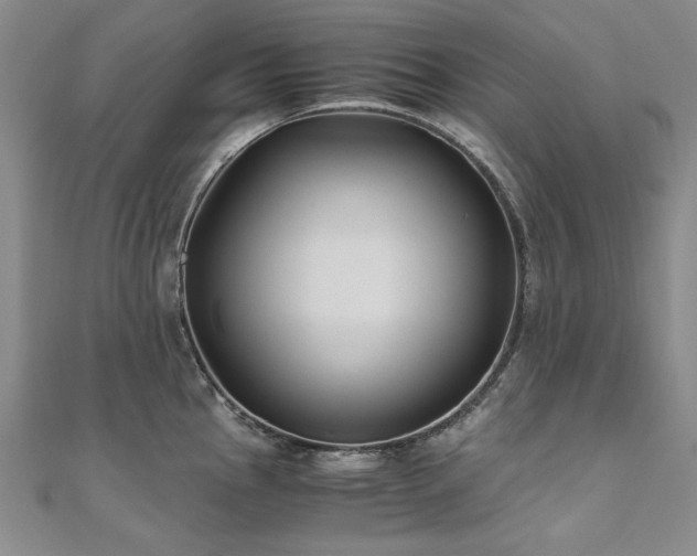 X0000111011145200906191606
