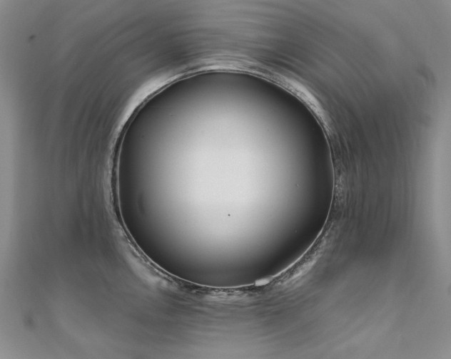 X0000111011146200906191606