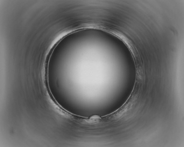 X0000111011147200906191606