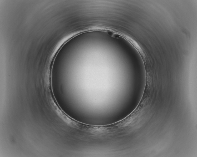 X0000111011148200906191607