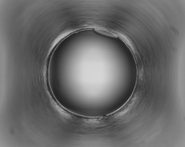 X0000111011149200906191607