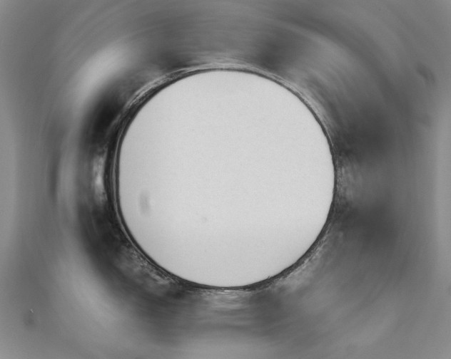 X0000111011150200906191607