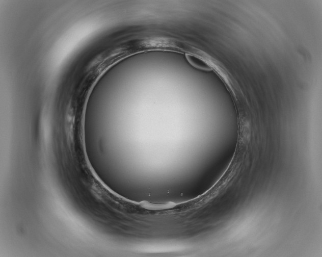 X0000111011151200906191607