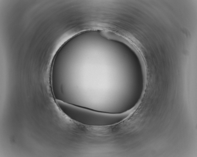 X0000111011152200906191607