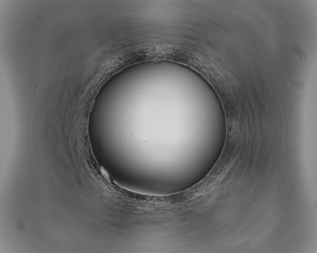 X0000111011153200906191606