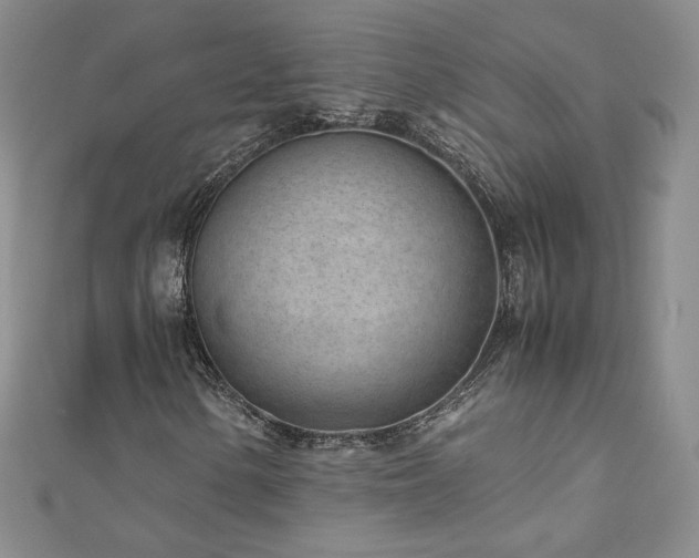X0000111011154200906191606