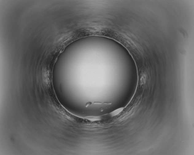 X0000111011156200906191606