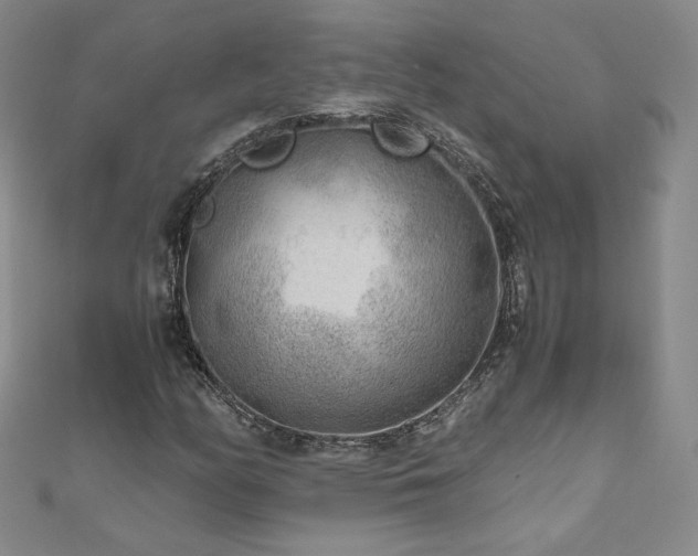 X0000111011158200906191606