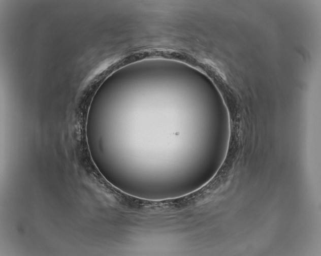 X0000111011159200906191606