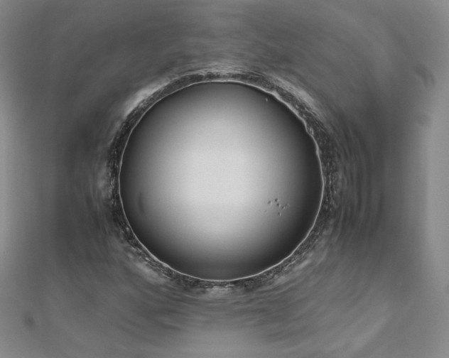 X0000111011160200906191606