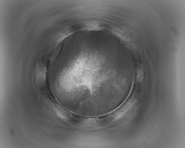 X0000111011161200906191606