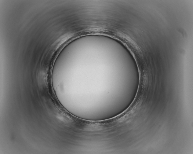 X0000111011162200906191606
