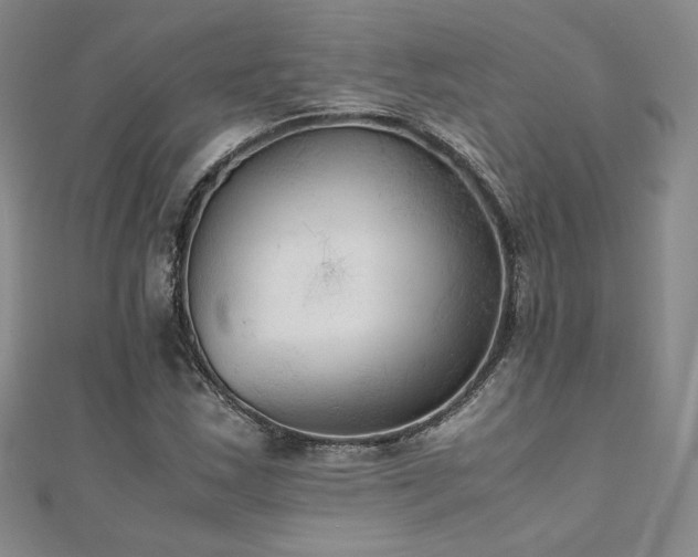 X0000111011163200906191606
