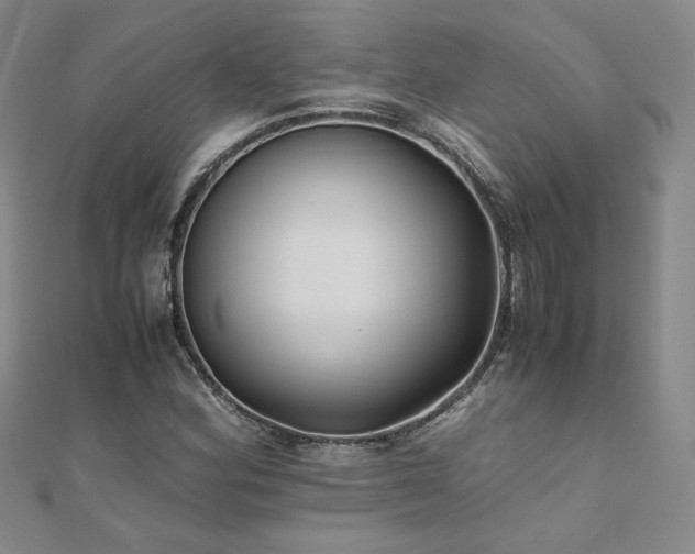 X0000111011164200906191606