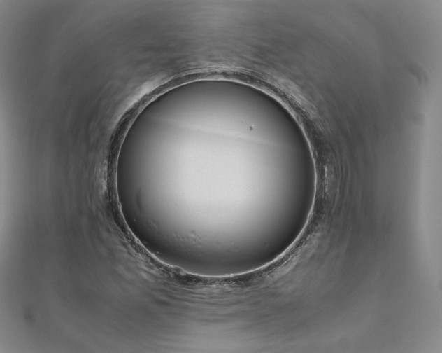 X0000111011165200906191606