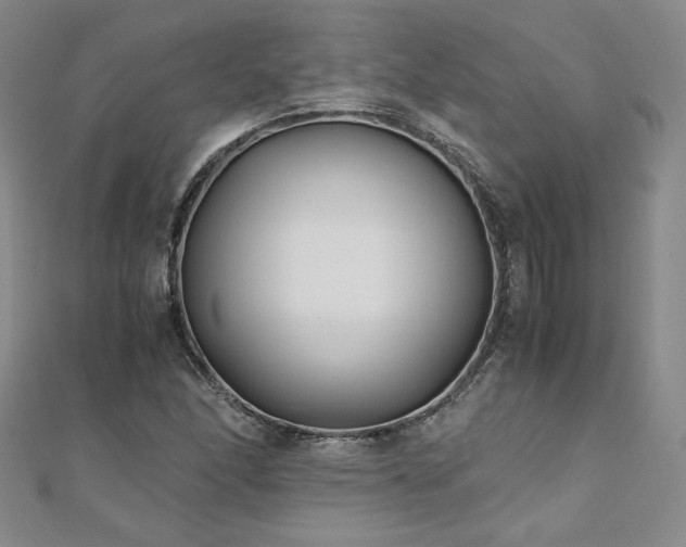 X0000111011166200906191606