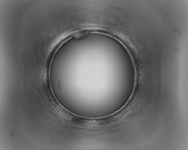 X0000111011167200906191606