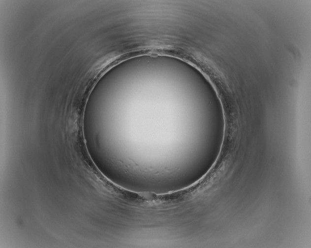 X0000111011169200906191606