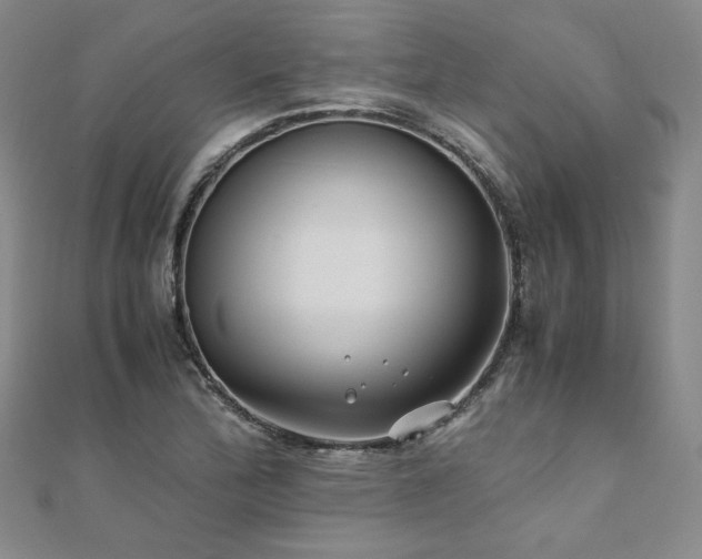 X0000111011172200906191605