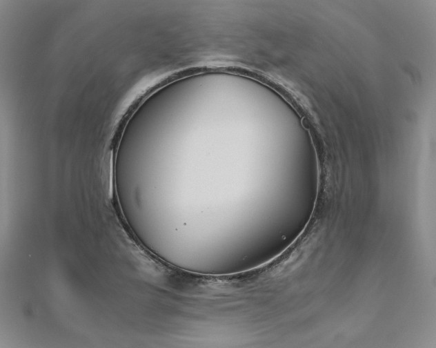X0000111011175200906191605