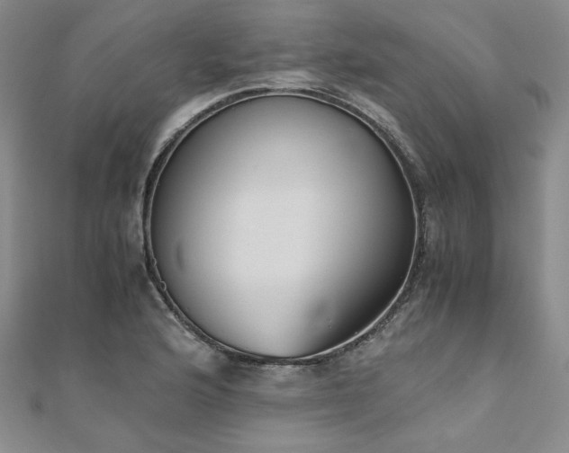 X0000111011176200906191605