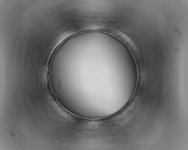 X0000111011178200906191605
