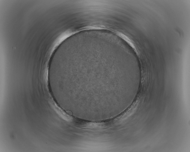 X0000111011179200906191605