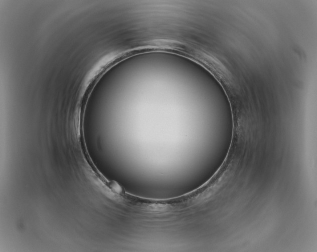 X0000111011180200906191605