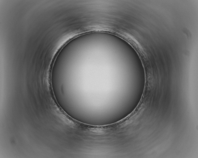 X0000111011182200906191605