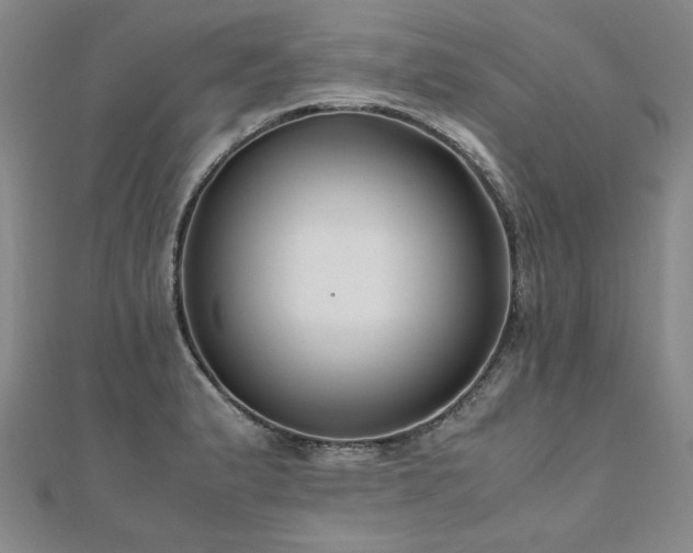 X0000111011183200906191605
