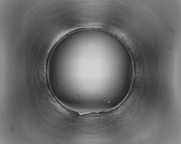 X0000111011184200906191605