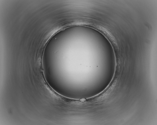 X0000111011185200906191605