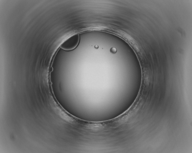 X0000111011186200906191605