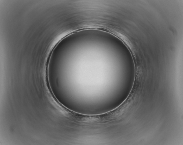 X0000111011187200906191605