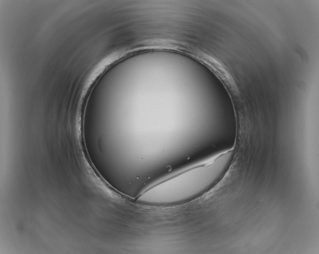 X0000111011188200906191605