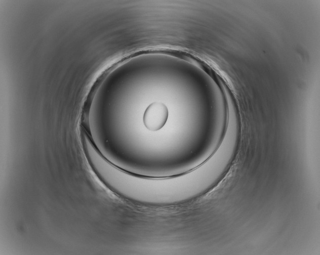 X0000111011189200906191605