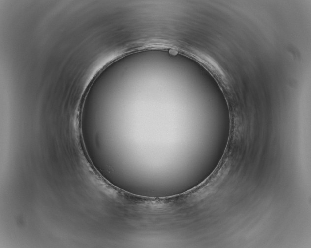 X0000111011190200906191605