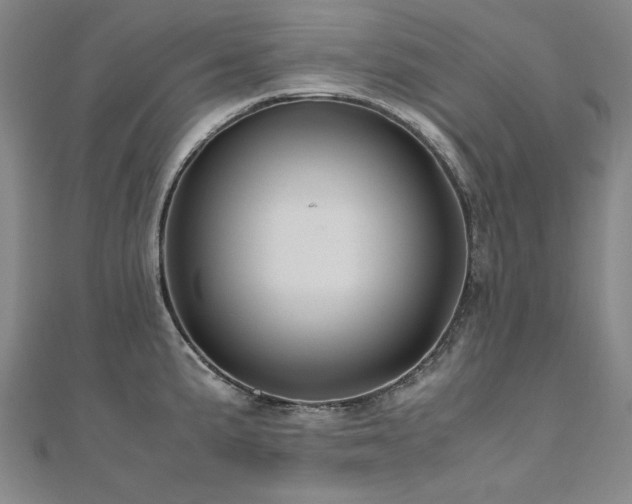 X0000111011191200906191605