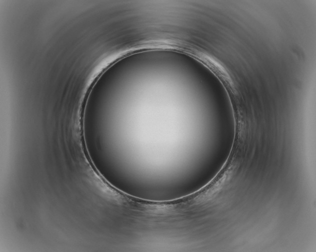 X0000111011192200906191605