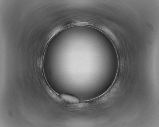 X0000111011193200906191605