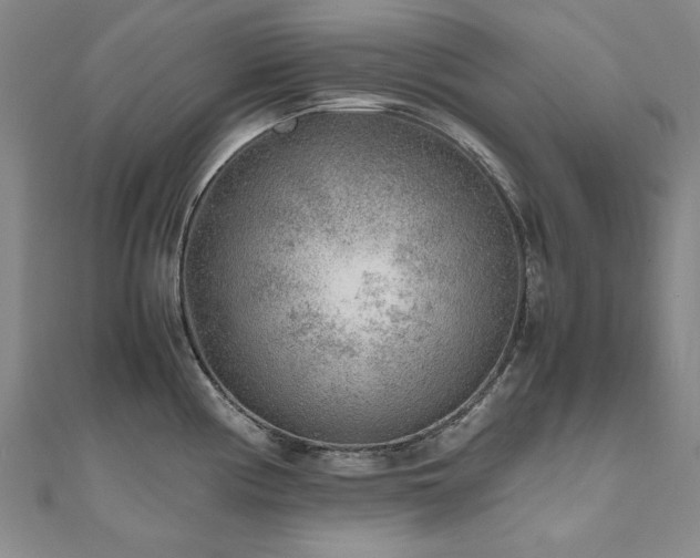 X0000111011194200906191605