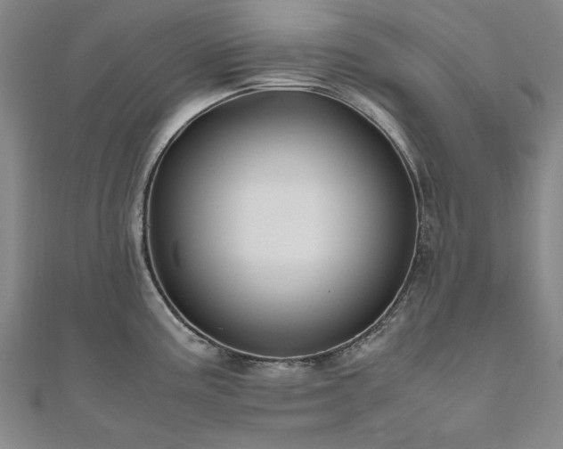 X0000111011195200906191605
