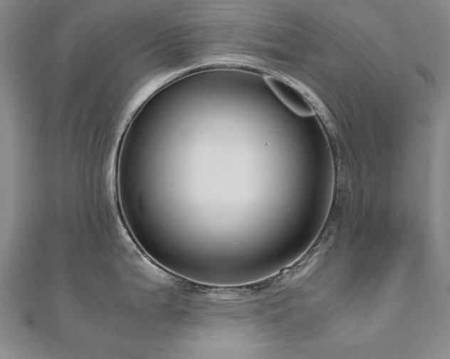 X0000111011199200906191605