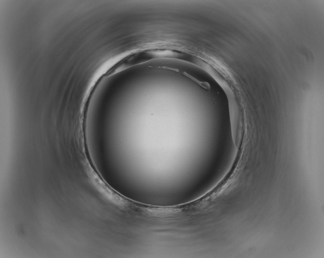 X0000111011200200906191605