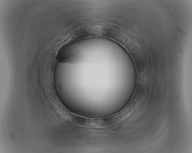 X0000111011201200906191604