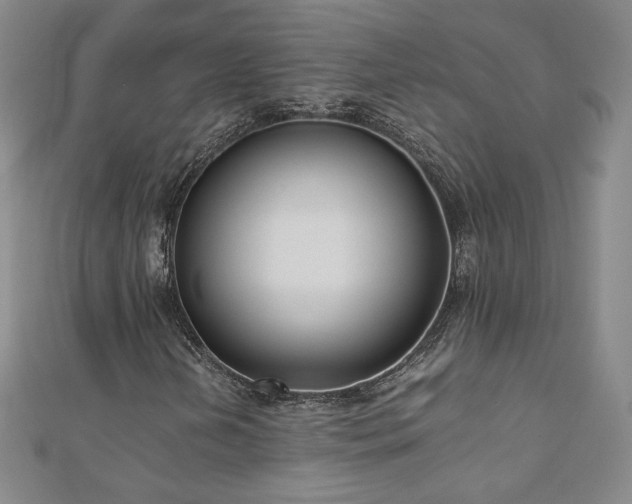 X0000111011202200906191604