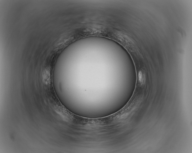 X0000111011203200906191604