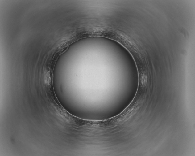 X0000111011204200906191604